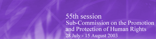 Sub-Commission on the Promotion and Protection of Human Rights