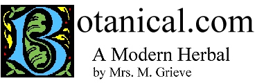 Botanical.com  - A Modern Herbal, by Mrs. M. Grieve